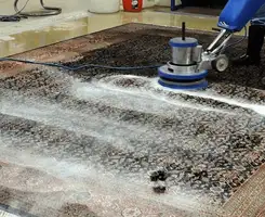 Professional rug cleaning with a rotary floor machine and shampoo foam, deep-cleaning an area rug, in Hollywood, FL.